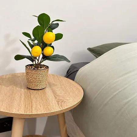 Apartment L'emeraude, Cozy And Air-conditioned, 1 Bedroom Toulouse